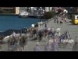 wellington City 2 1012